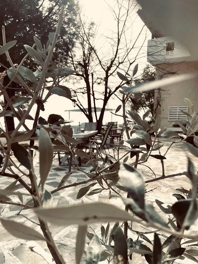 Villa Olga Studios Nea Skioni 0*,