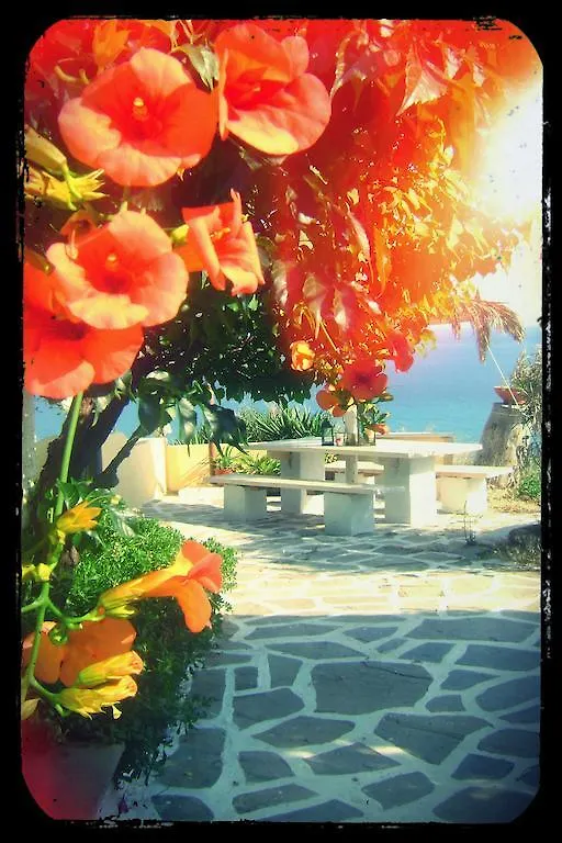 Villa Olga Studios Nea Skioni 0*,